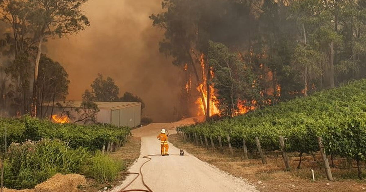 Kangaroo Island Fires