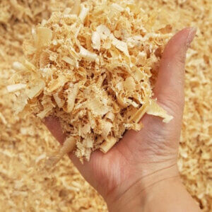 Wood shavings