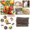 Apple Sticks Main
