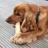 Coffee Wood Dog Chew Vegan Natural Bone Stick Dental Care Training Treat XS - XL - Image 8