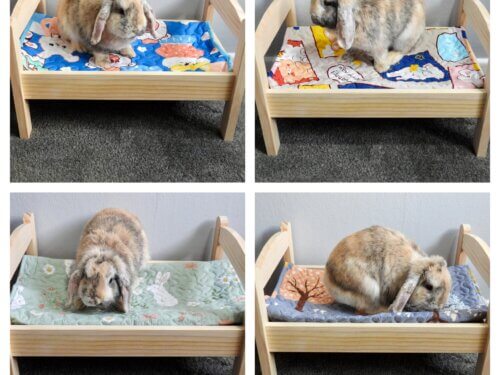 Rabbit & Small Pet Hides, Castles & Beds