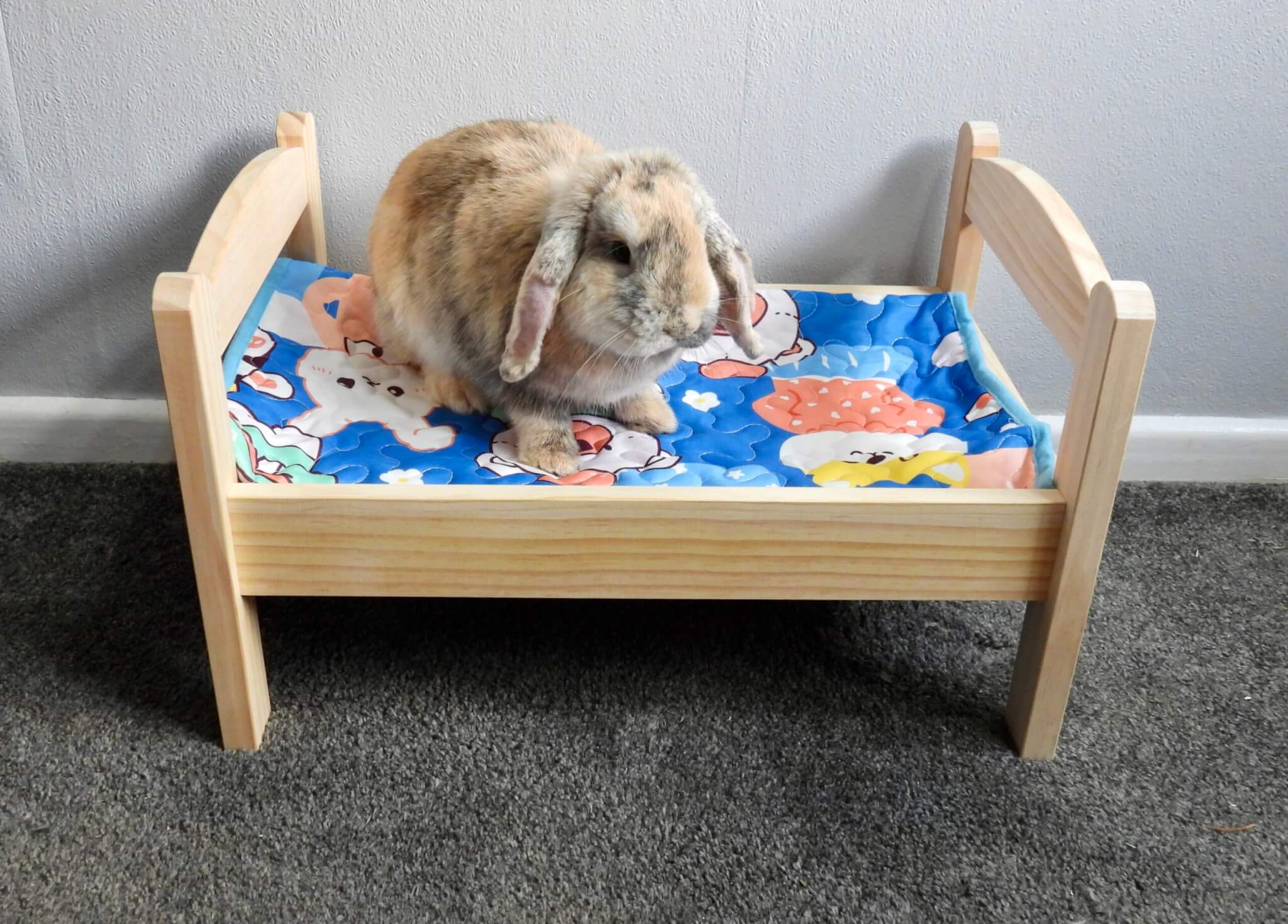 Bunny rabbit bed best sale