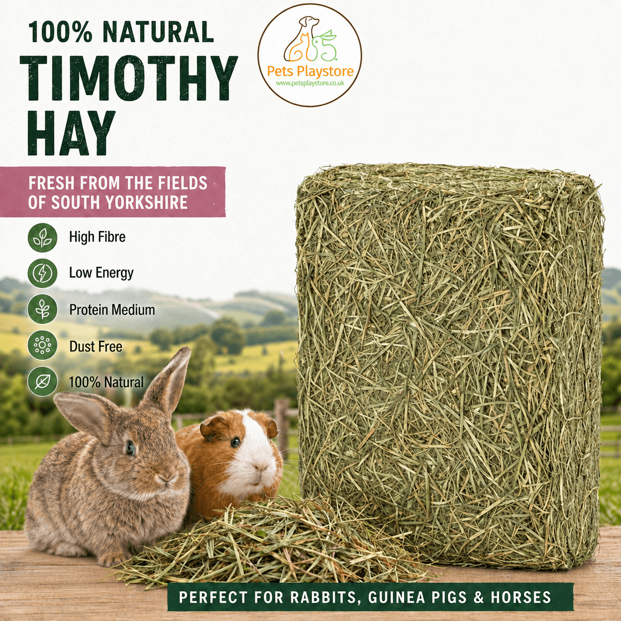 Timothy hay Pets Playstore