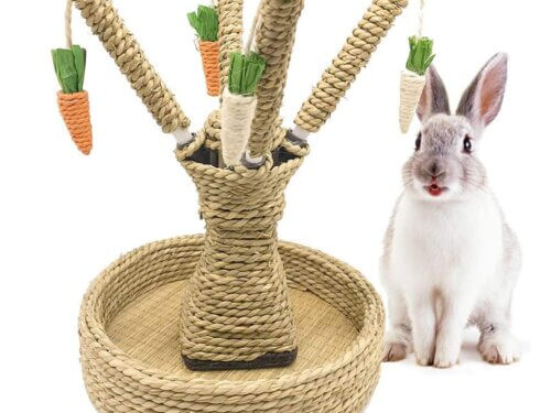 Rabbit Treats & Toys