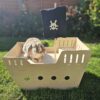 Rabbit pirate ship hideaway