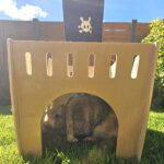 Rabbit Pirate Ship 10