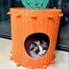 Pet Cat & Kitten Carrot Bed Hideaway Climbing Indoor