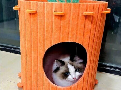 Pet Cat & Kitten Carrot Bed Hideaway Climbing Indoor