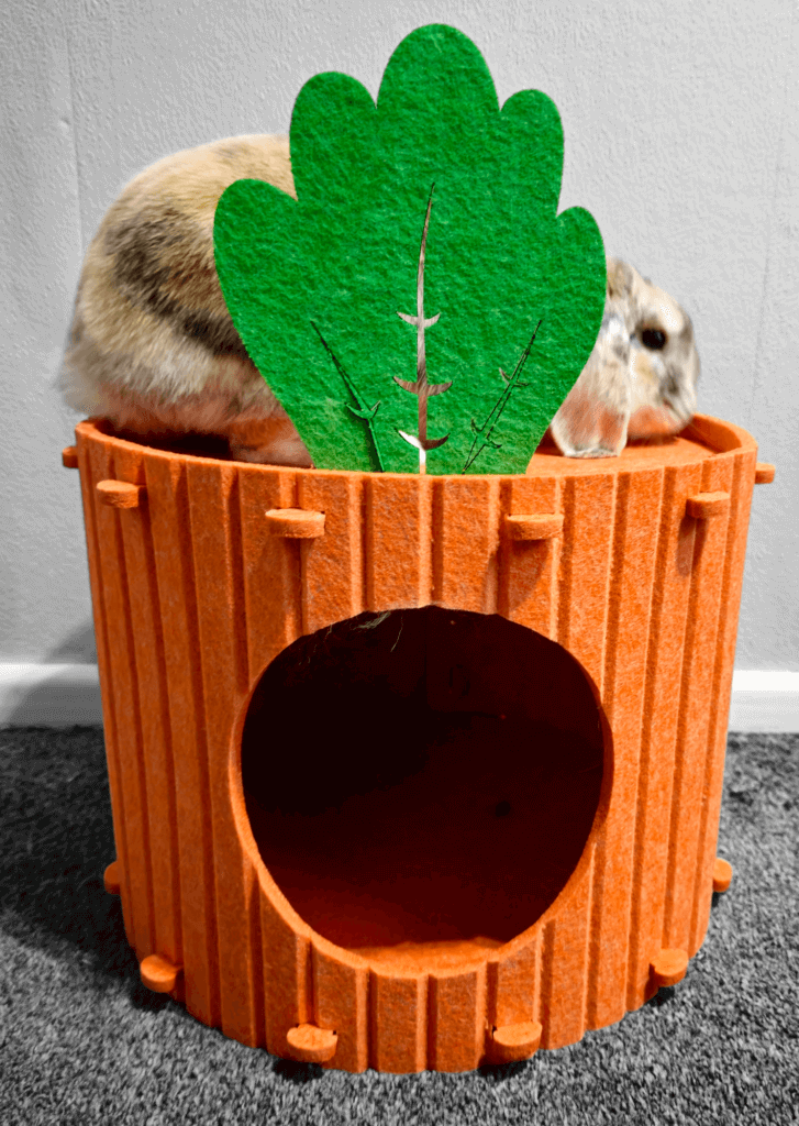 Edgecomb Pod Rabbit Rabbit Bed Carrot Hideaway - Pets Playstore