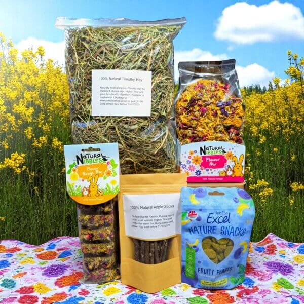 Bunnies Lunch Box Natural Rabbit Treats 1