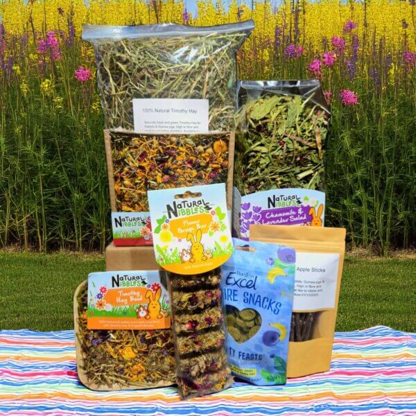 Bunnies Lunch Box Natural Rabbit Treats 6