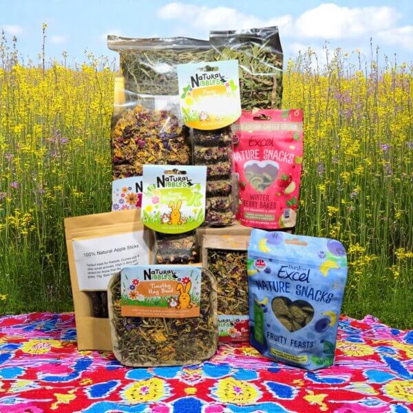 Bunnies Lunch Box Natural Rabbit Treats 7