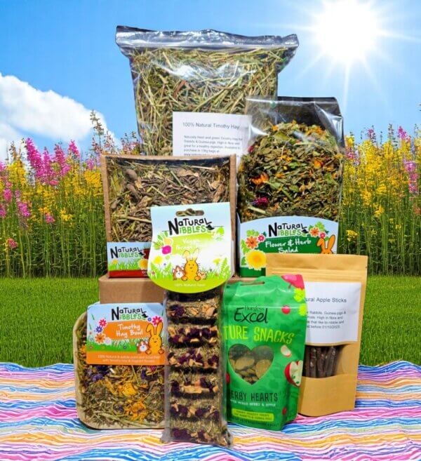 Bunnies Lunch Box Natural Rabbit Treats 9