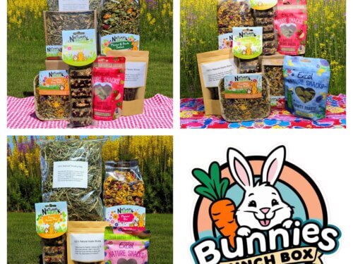 Bunnies Lunch Box Natural Rabbit Treats Main