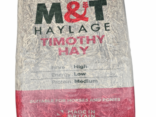 Timothy Hay Sun Bleached